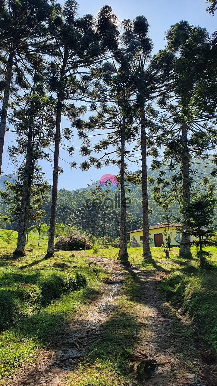 Terreno, 404 hectares - Foto 17