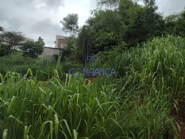 Terreno com 528m², à venda, no bairro Campo Grande em Rio de Janeiro