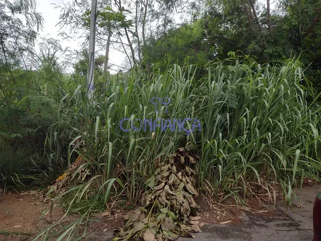 Terreno com 528m², à venda, no bairro Campo Grande em Rio de Janeiro