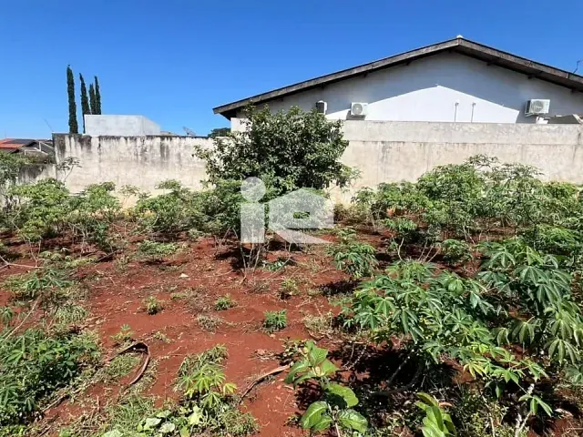 Terreno com 474m², à venda, no bairro Alto da Boa Vista em Rolândia