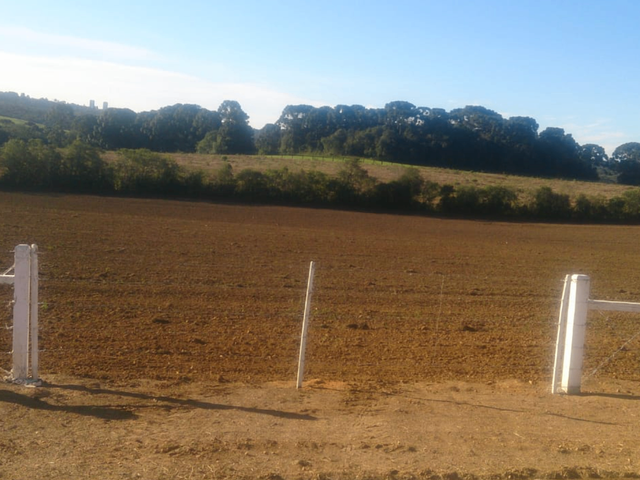 Foto do Terreno - Lapa, Terreno rural ou industrial, 17 alqueires, ou 42 hectares, 420.000m², cercado, plano e limpo, à venda, PR | Imobiliária GreenVille
