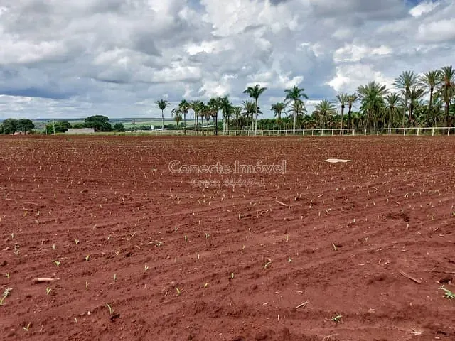 Sítio com 20580m², à venda, no bairro Área Rural de Artur Nogueira em Artur Nogueira