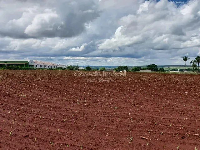 Sítio com 20580m², à venda, no bairro Área Rural de Artur Nogueira em Artur Nogueira