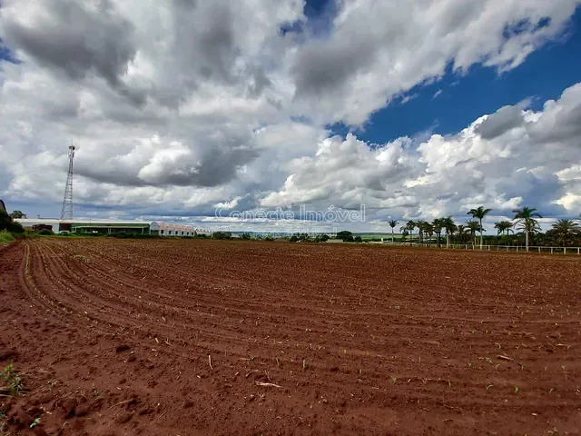 Sítio com 20580m², à venda, no bairro Área Rural de Artur Nogueira em Artur Nogueira