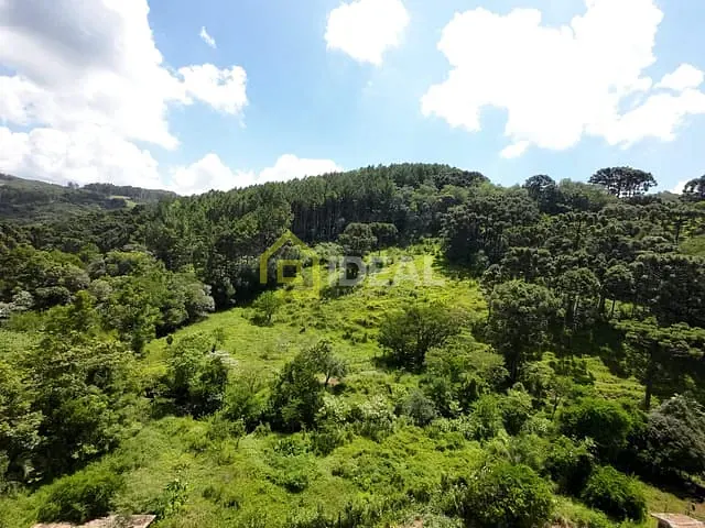 Terreno com 92000m², à venda, no bairro Fragosos em Concórdia