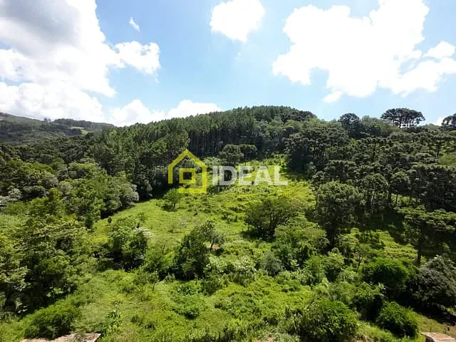 Terreno com 92000m², à venda, no bairro Fragosos em Concórdia