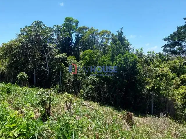 Terreno com 452m², à venda, no bairro Nossa Senhora da Vitória em Ilhéus