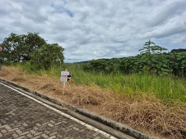Terreno com 480m², à venda, no bairro Ibraim Mendonça em Cataguases