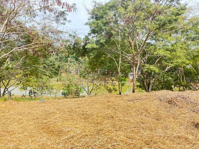 Terreno com 480m², à venda, no bairro Ibraim Mendonça em Cataguases