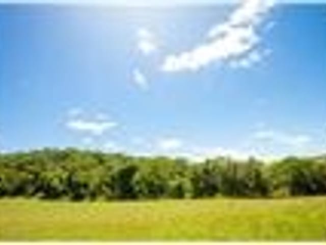 Foto do Terreno - Terreno residencial para venda em Módulo Rural 43-Centro, 20,000m² | Lares e Andares Imóveis