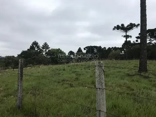 Terreno com 5m², à venda, no bairro Não informado em Lapa