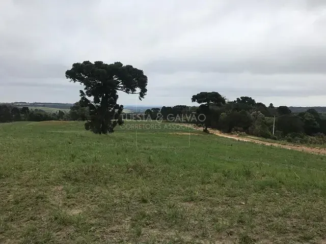 Terreno com 5m², à venda, no bairro Não informado em Lapa
