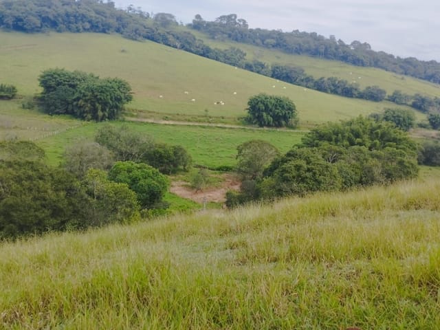Terreno com 25000m², à venda, no bairro Anhumas  em Anhumas