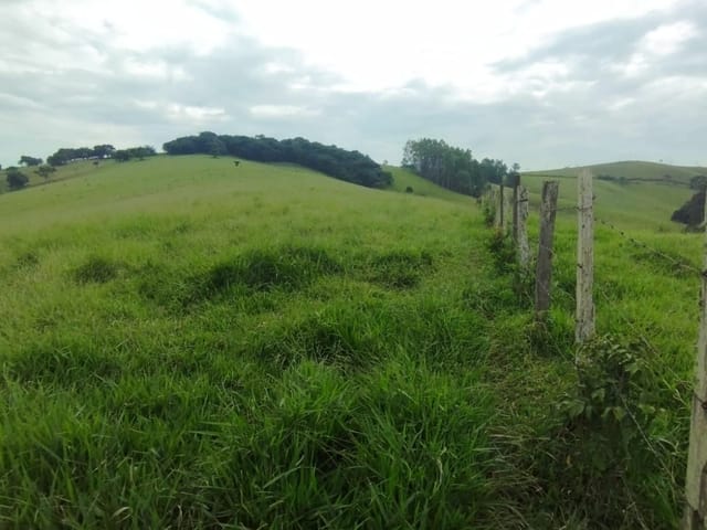 Terreno com 25000m², à venda, no bairro Anhumas  em Anhumas