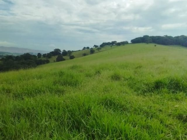 Terreno com 25000m², à venda, no bairro Anhumas  em Anhumas