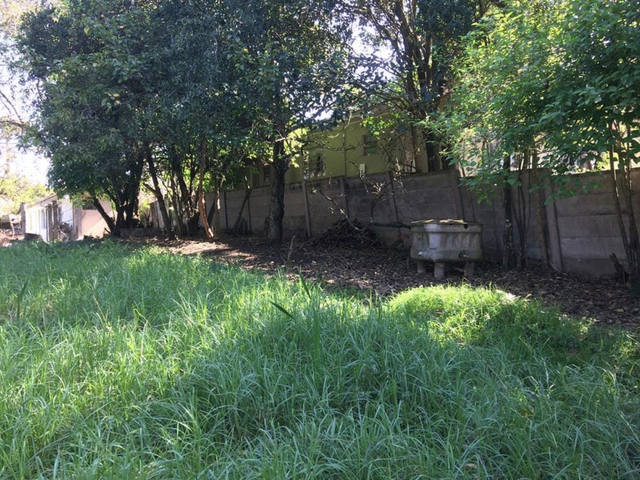 Foto do Terreno - Cabral , Terreno Condor Gourmet Ahú ZR3 - 1082m² = (frente 14,35m X esquerdo 62,10m X direito 53,60m X fundos 23,90m, à venda  Curitiba, PR | Imobiliária GreenVille