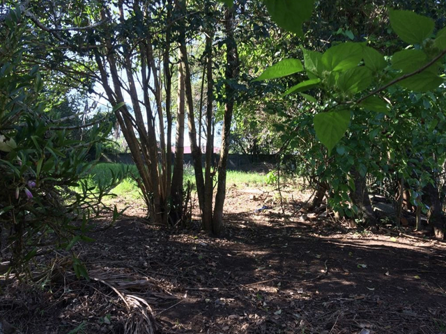 Terreno com 1082m², à venda, no bairro Cabral em Curitiba