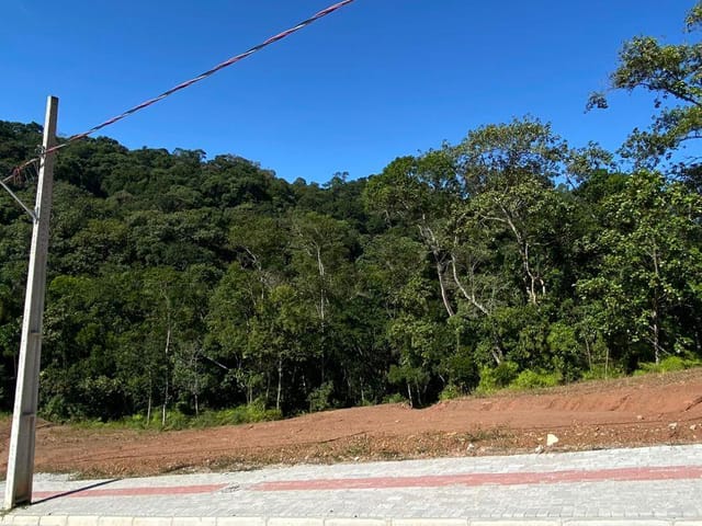 Terreno com 260m², à venda, no bairro Rio do Meio em Itajaí