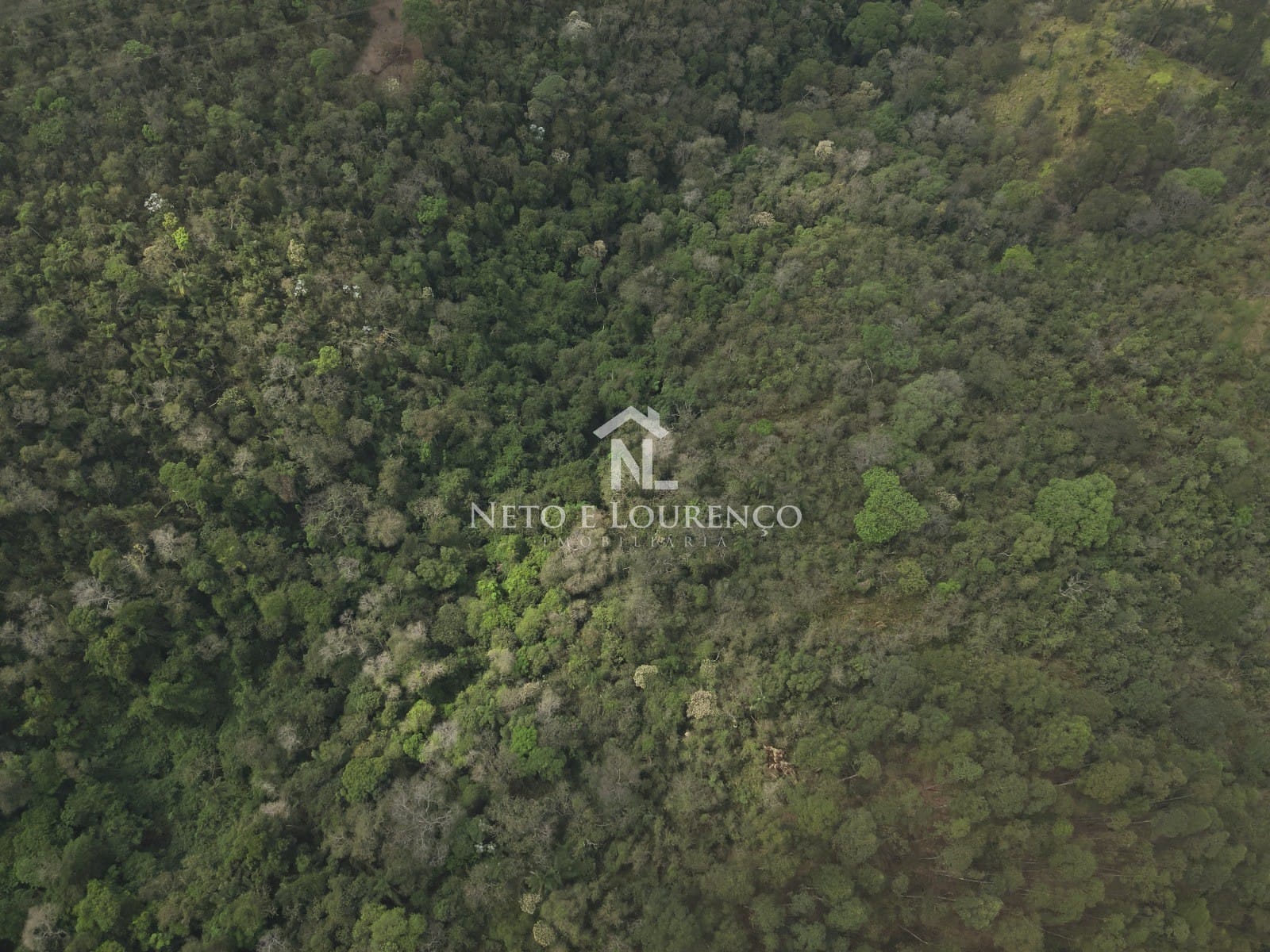 Terreno, 7177 m² - Foto 6