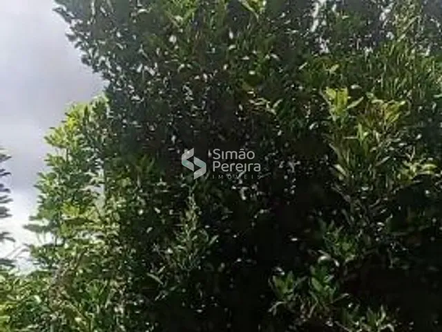 Terreno com 437m², à venda, no bairro Posse em Petrópolis