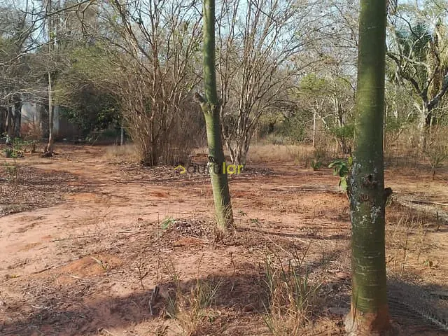 Terreno com 500m², à venda, no bairro Conjunto Habitacional Engenheiro Otávio Rasi em Bauru
