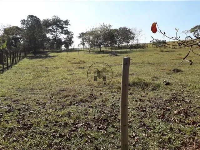 Terreno com 5300m², à venda, no bairro Clube dos Quinhentos em Guaratinguetá