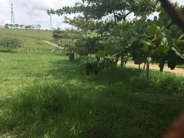 Terreno com 5300m², à venda, no bairro Clube dos Quinhentos em Guaratinguetá