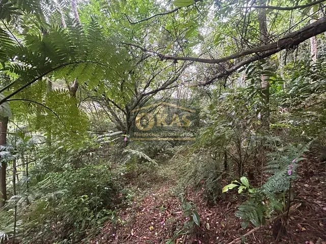 Terreno com 5450m², à venda, no bairro Chácaras Monte Carlo em Suzano