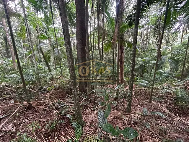 Terreno com 5450m², à venda, no bairro Chácaras Monte Carlo em Suzano