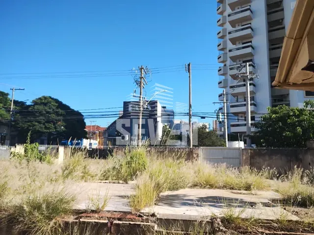 Terreno com 528m², para alugar, no bairro Centro em Bauru