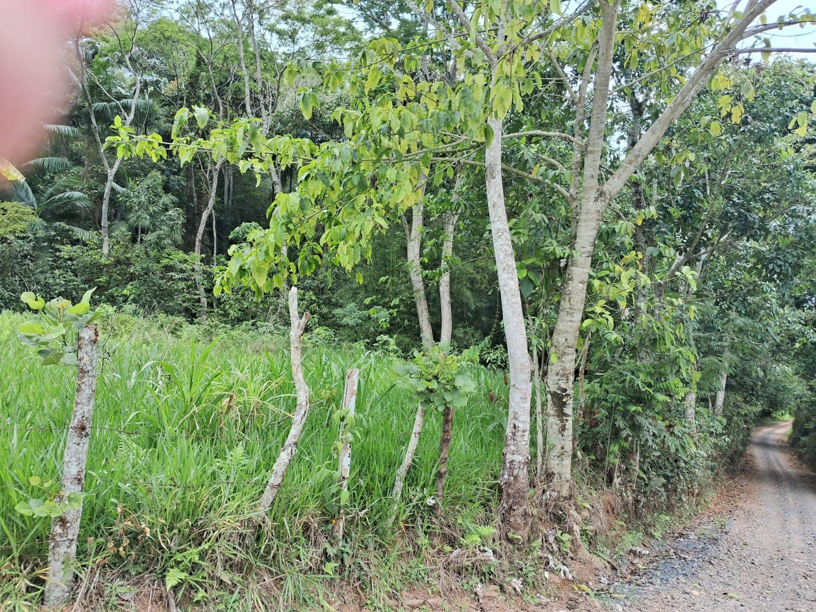 Terreno à venda, Zona rural, Rio Pomba, MG - foto 1