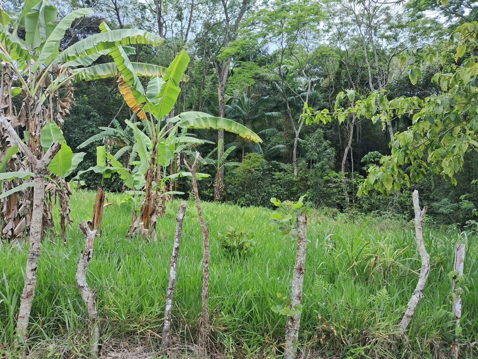Terreno à venda, Zona rural, Rio Pomba, MG - foto 2