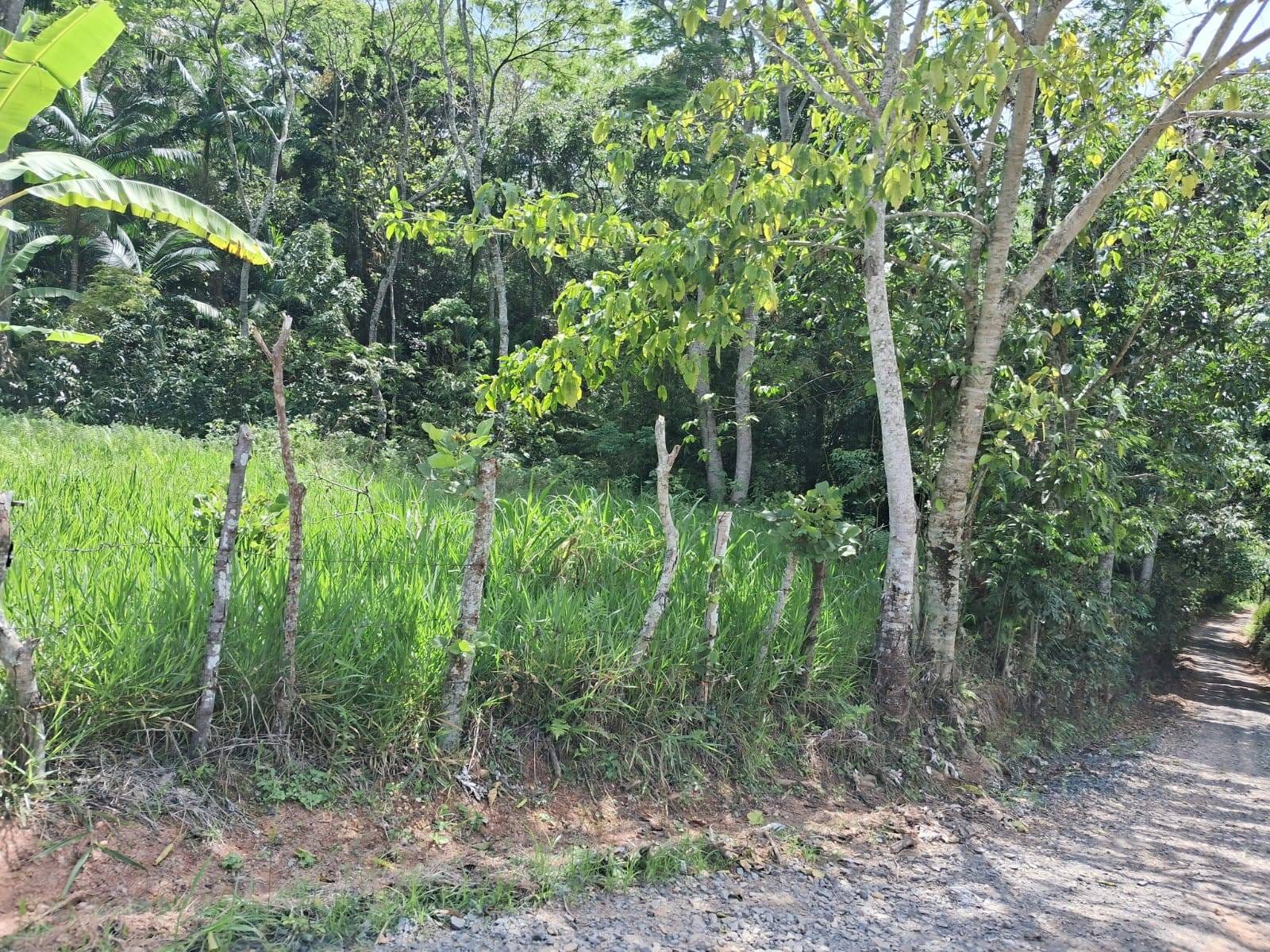 Terreno à venda, Zona rural, Rio Pomba, MG - foto 3