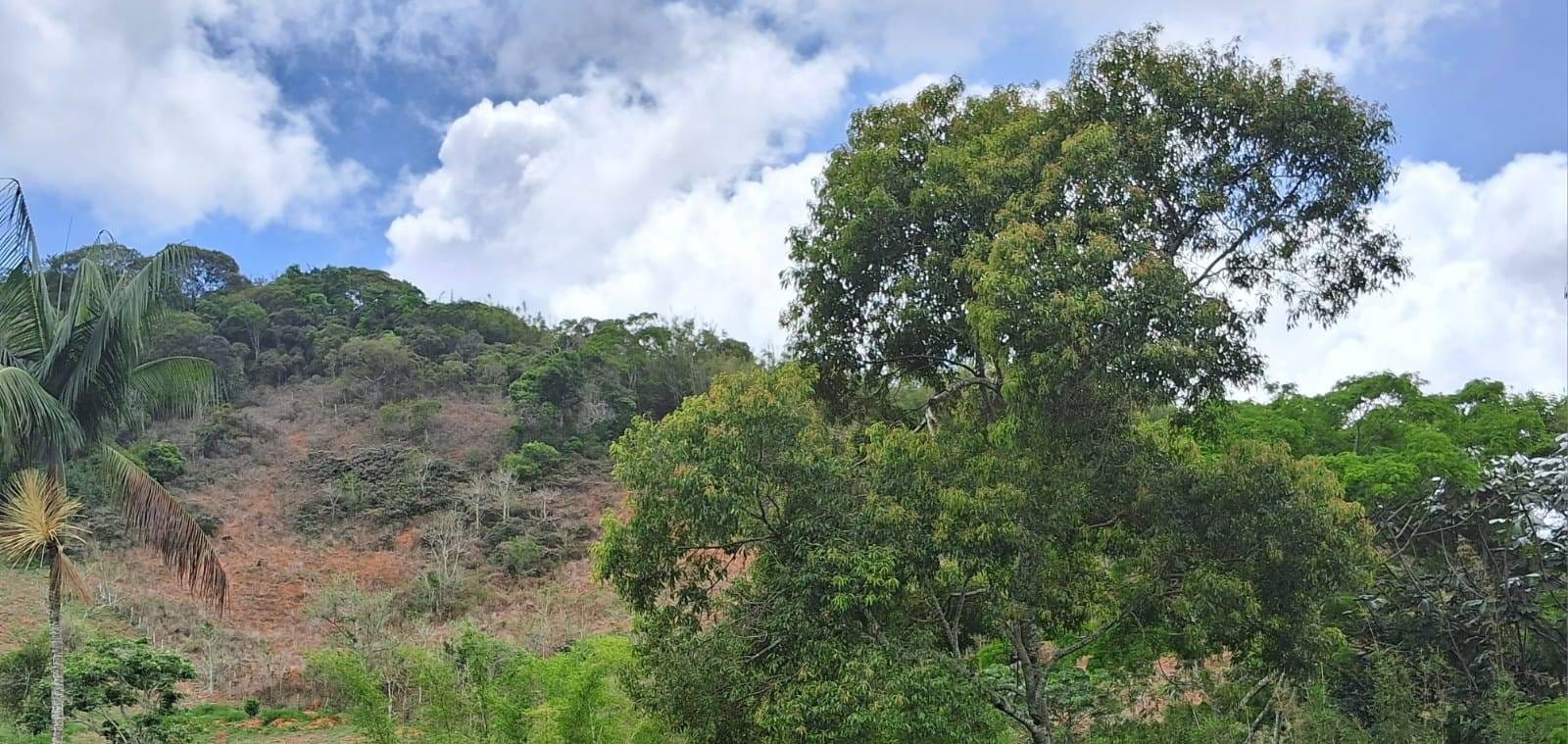 Terreno à venda, Zona rural, Rio Pomba, MG - foto 5
