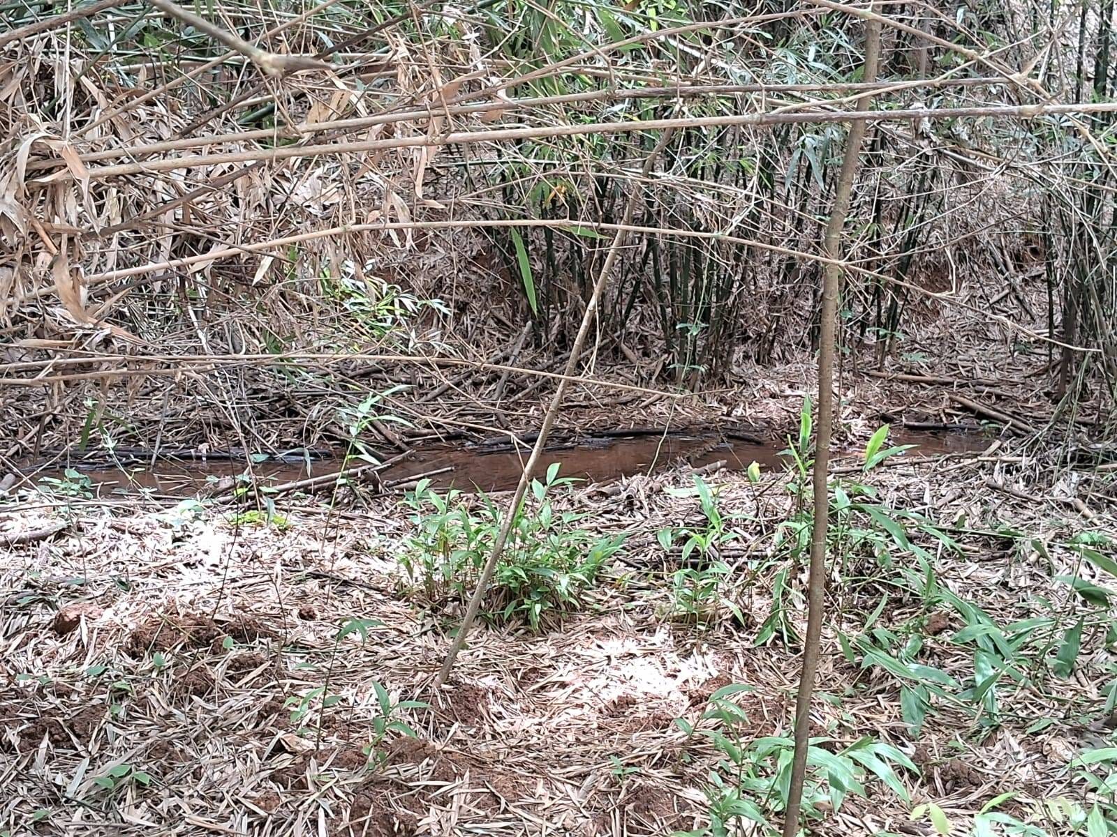 Terreno à venda, Zona rural, Rio Pomba, MG - foto 6