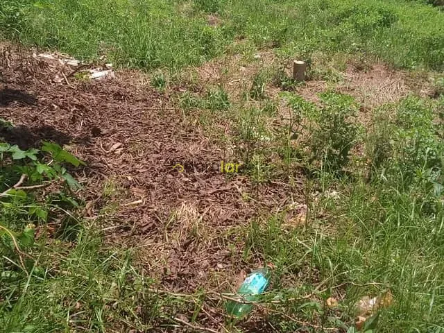 Terreno com 500m², à venda, no bairro Vila São Paulo em Bauru