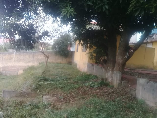 Terreno com 1800m², à venda, no bairro Chácara Santa Etelvina em São Paulo