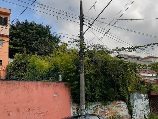 Foto do Terreno - Terreno à venda, 380 m² por R$ 550.000,00 - Vila Morse - São Paulo/SP | Pitale Imóveis Ltda.