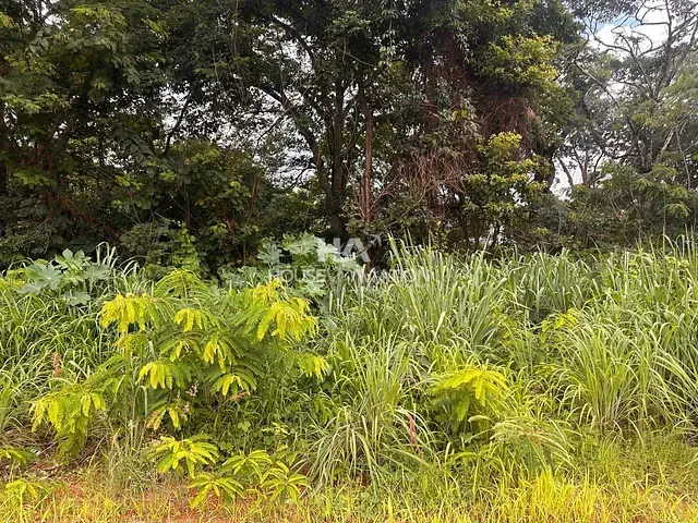 Terreno com 3050m², à venda, no bairro Jardim Buriti Sereno em Aparecida de Goiânia
