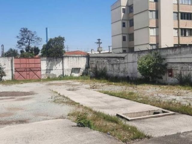 Terreno com 4000m², para alugar, no bairro Vila Guilherme em São Paulo
