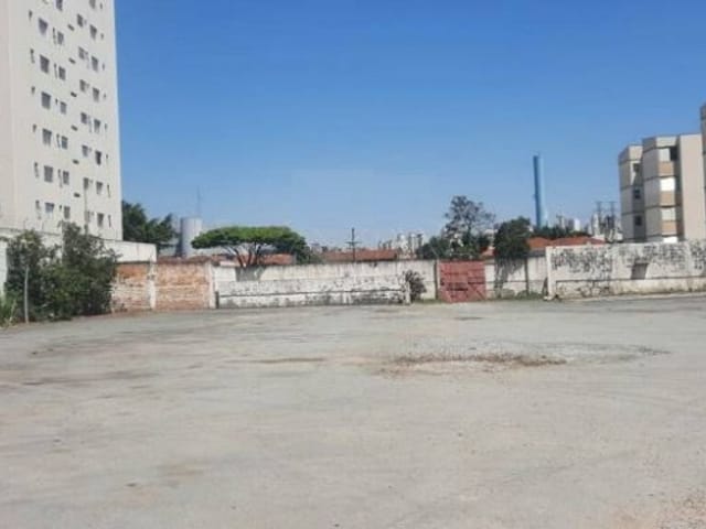 Terreno com 4000m², para alugar, no bairro Vila Guilherme em São Paulo