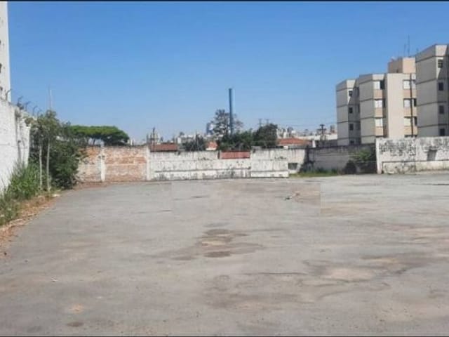 Terreno com 4000m², para alugar, no bairro Vila Guilherme em São Paulo