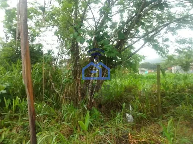 Terreno com 770m², à venda, no bairro Massaguaçu em Caraguatatuba