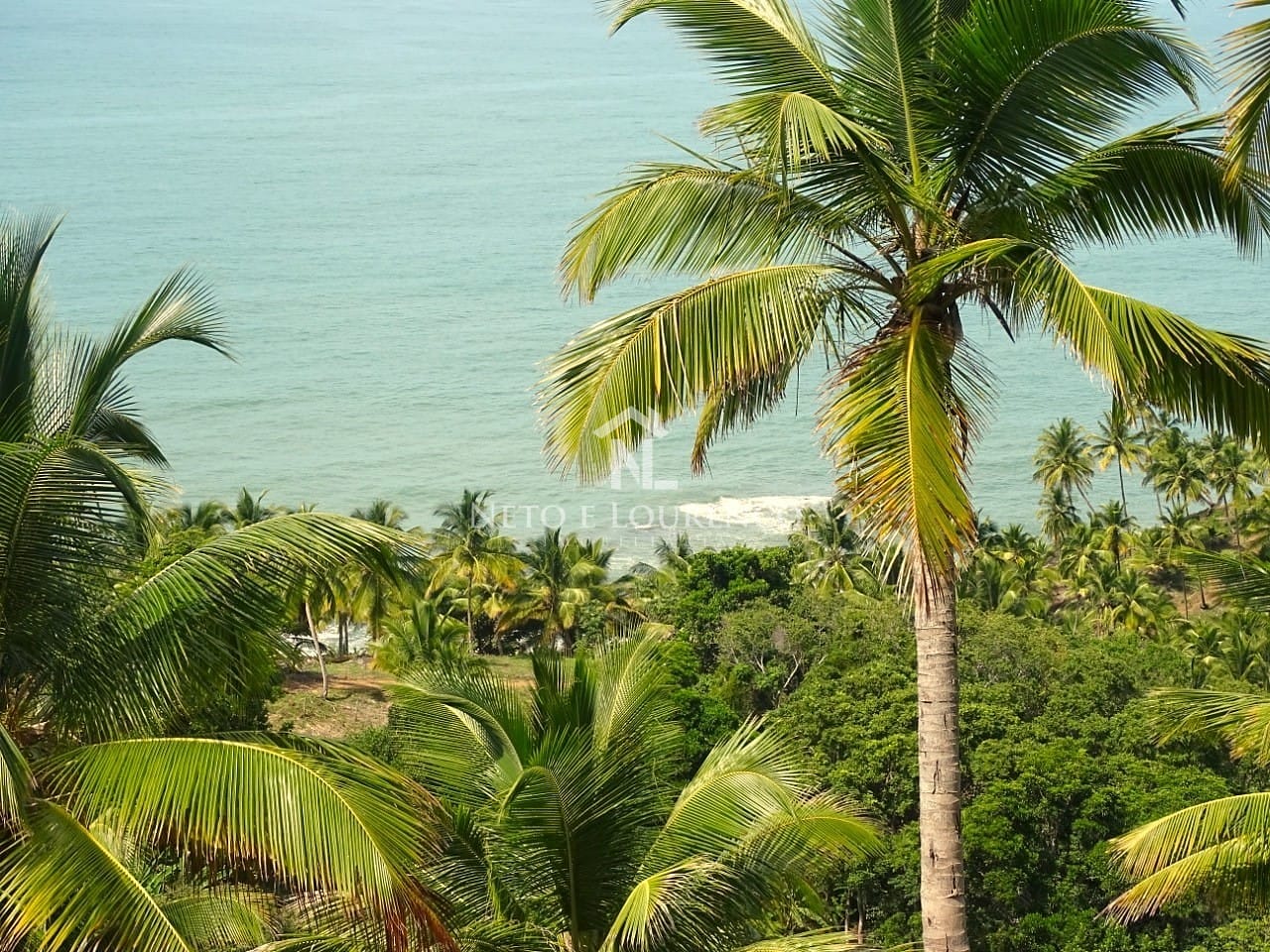 Terreno, 22 hectares - Foto 2