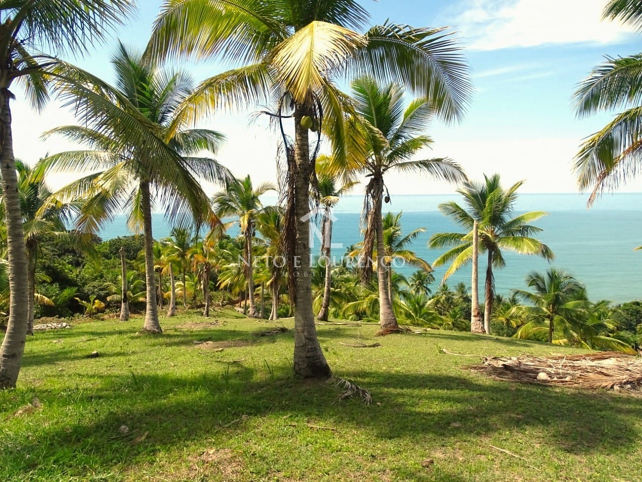 Terreno, 22 hectares - Foto 3