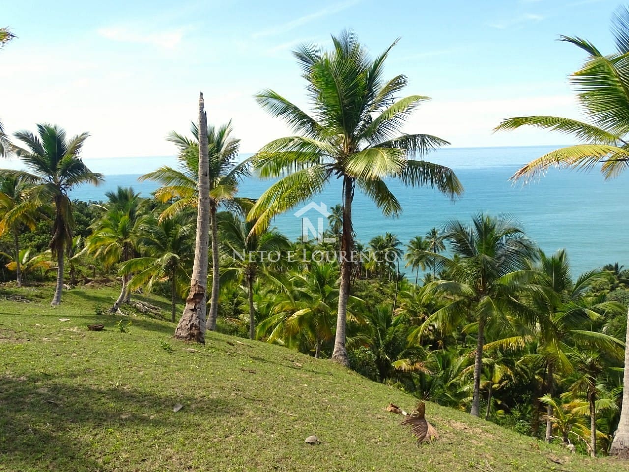 Terreno, 22 hectares - Foto 4