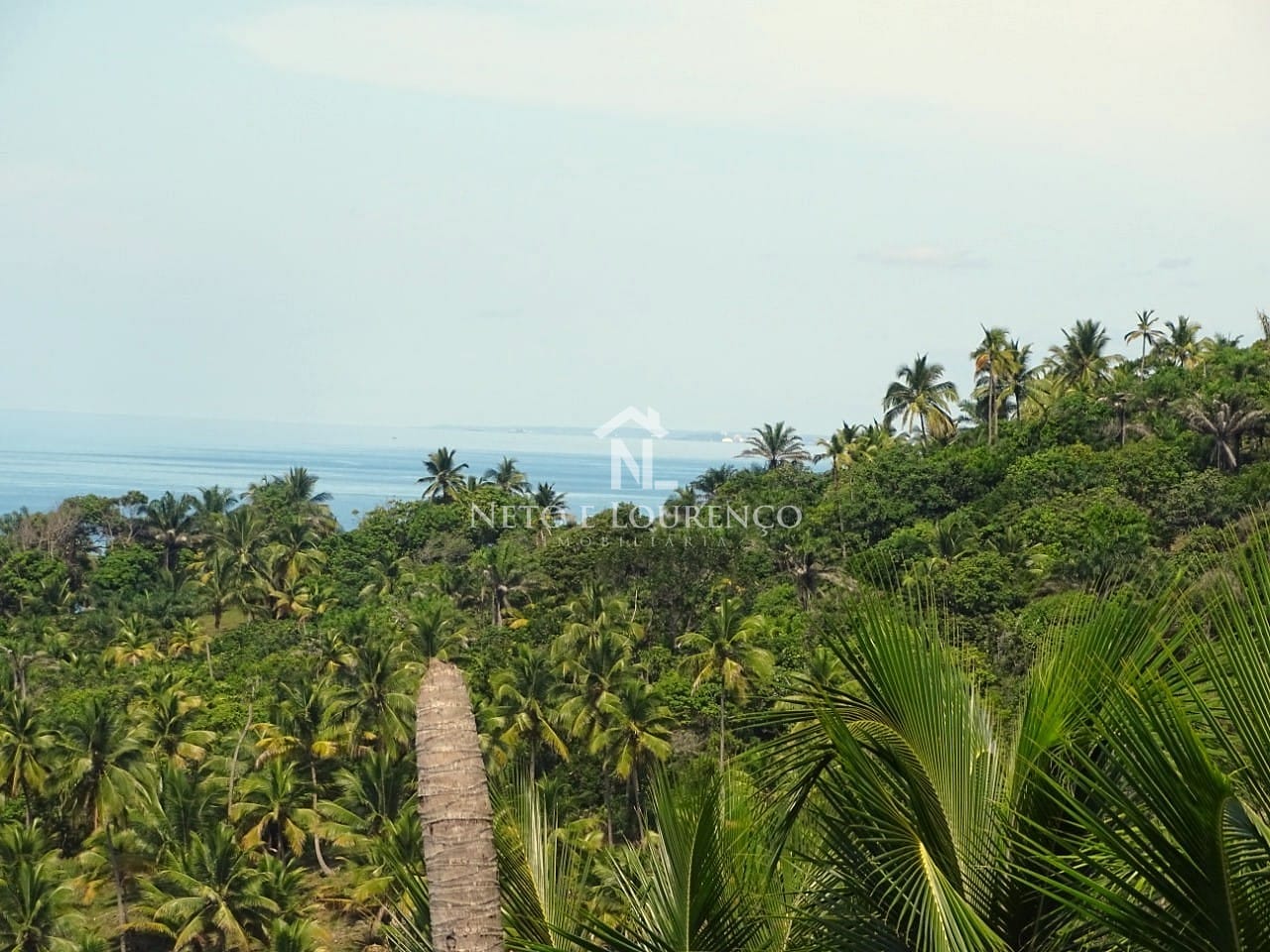 Terreno, 22 hectares - Foto 5