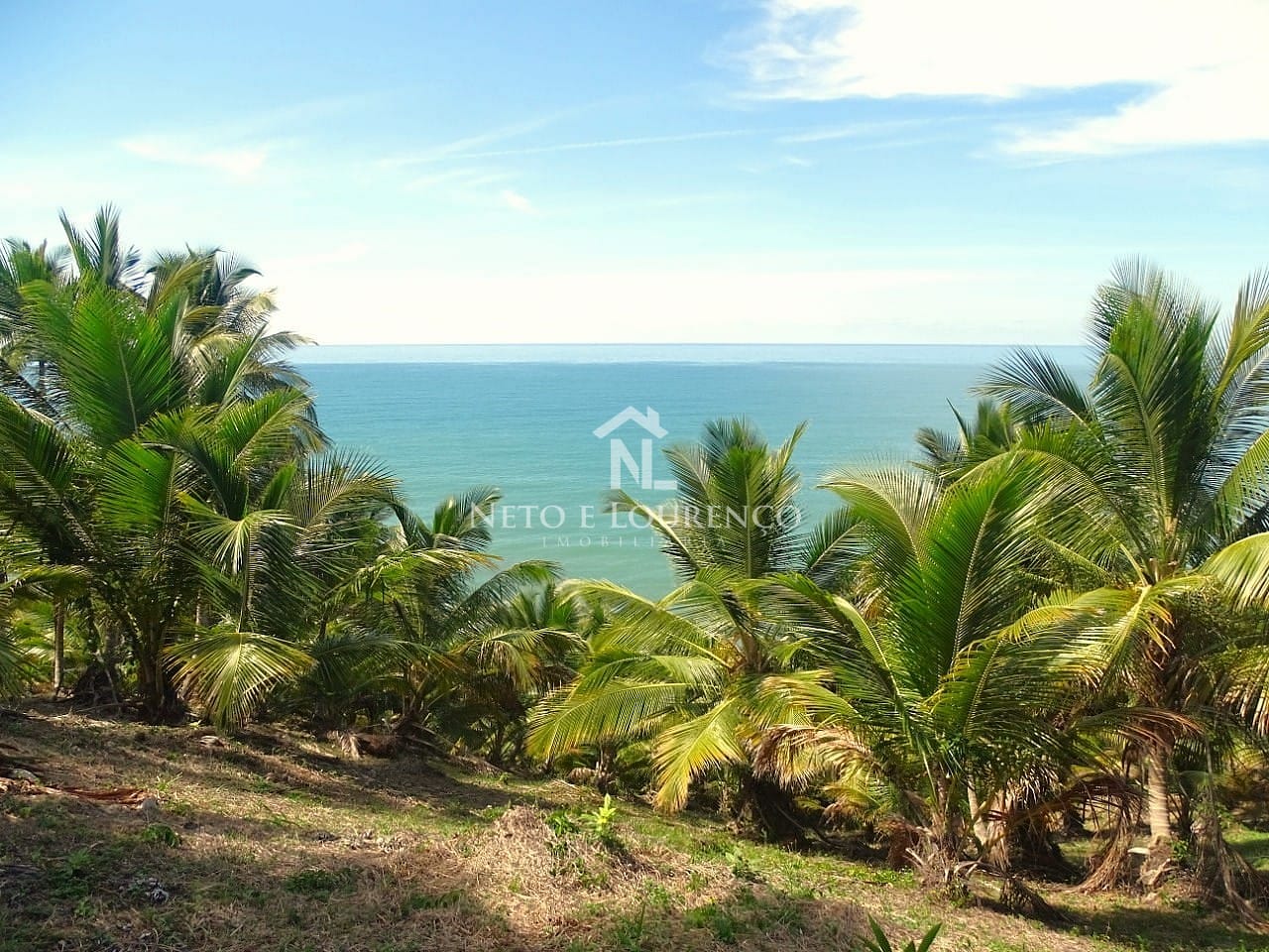 Terreno, 22 hectares - Foto 1