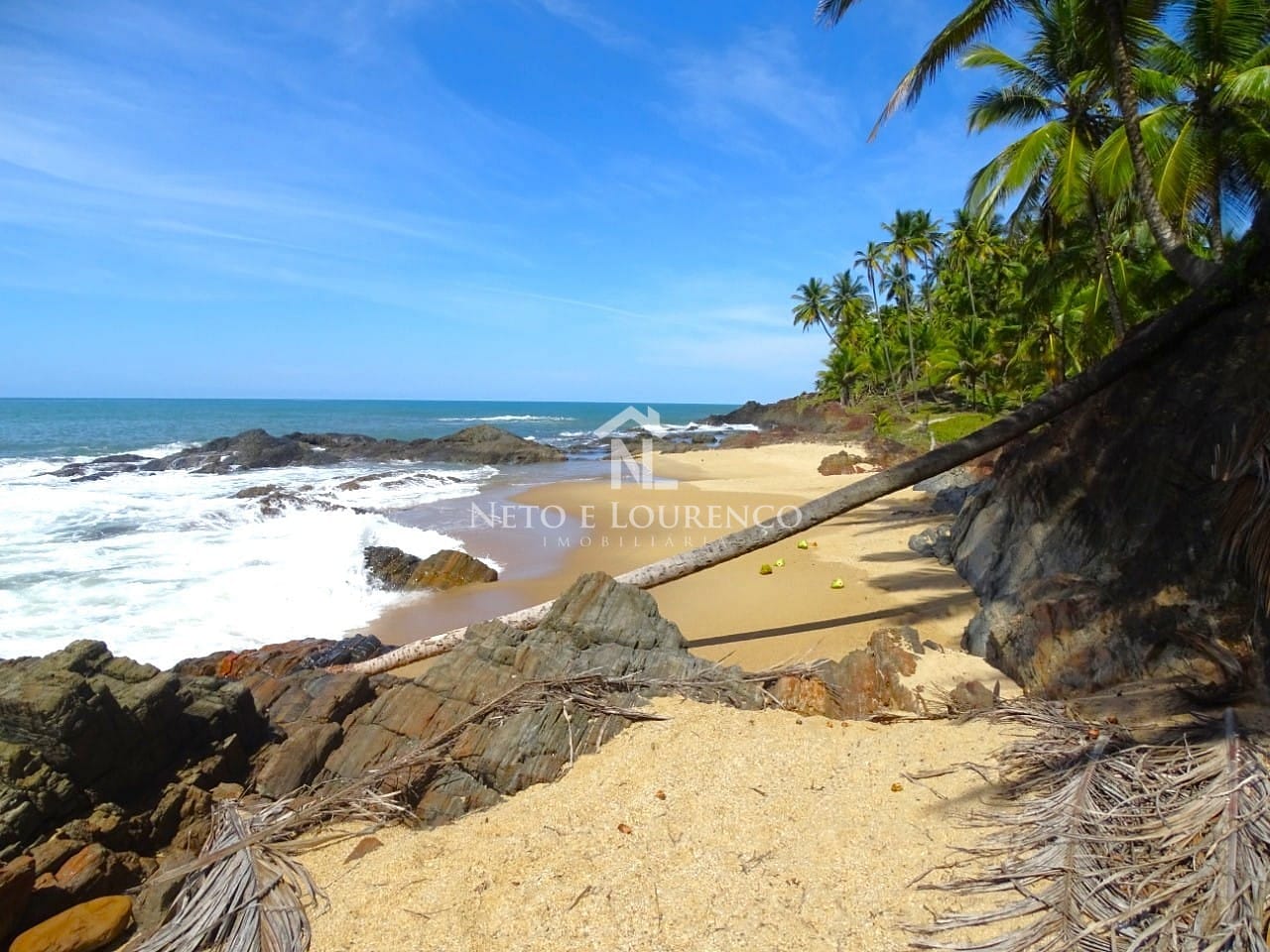 Terreno, 22 hectares - Foto 7