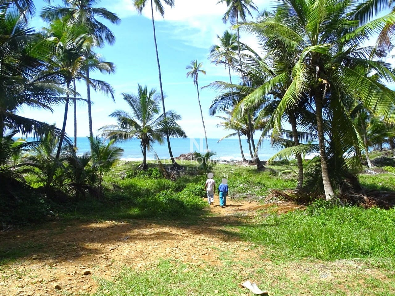 Terreno, 22 hectares - Foto 8